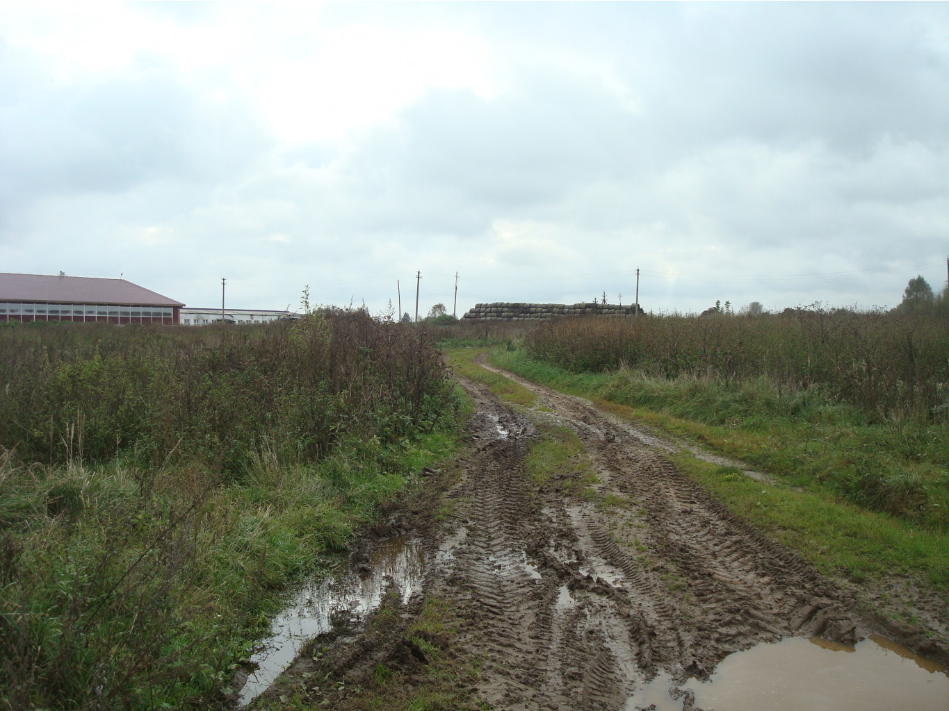 DSC00553.JPG
