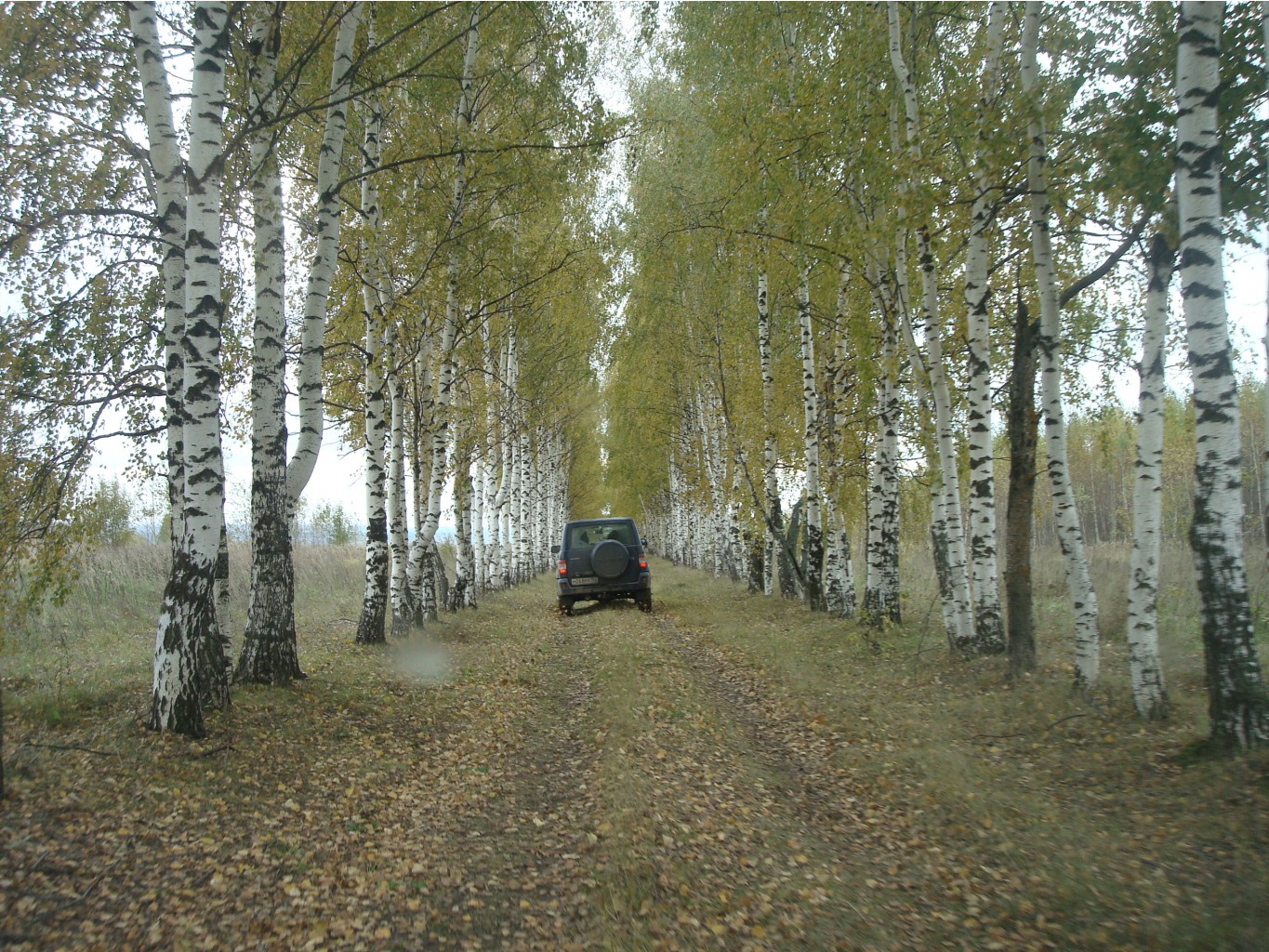 DSC00585.JPG