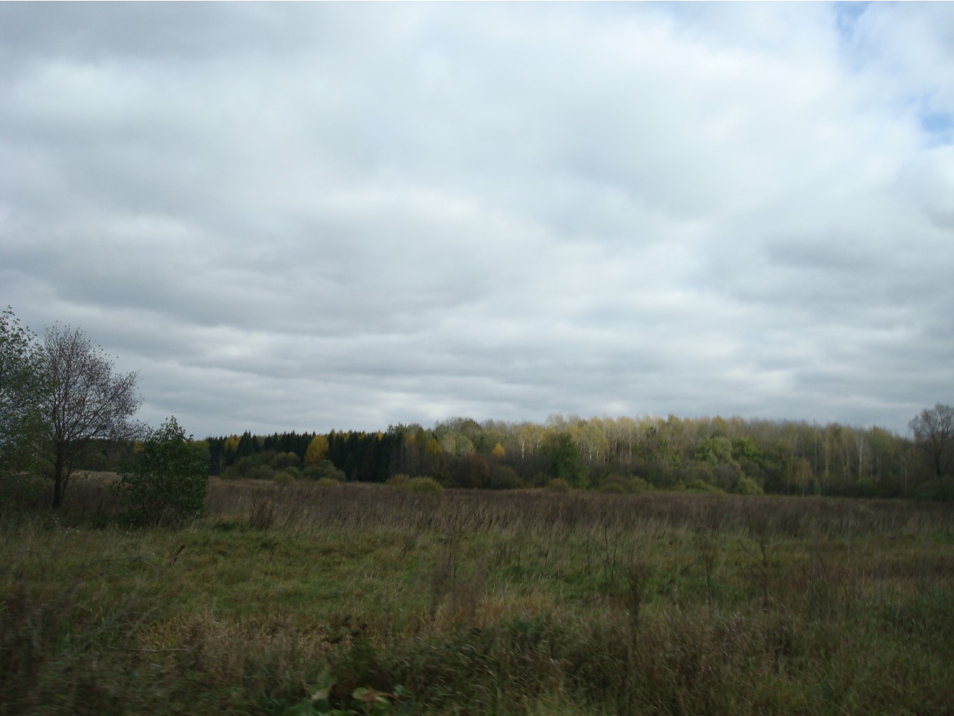 DSC00592.JPG