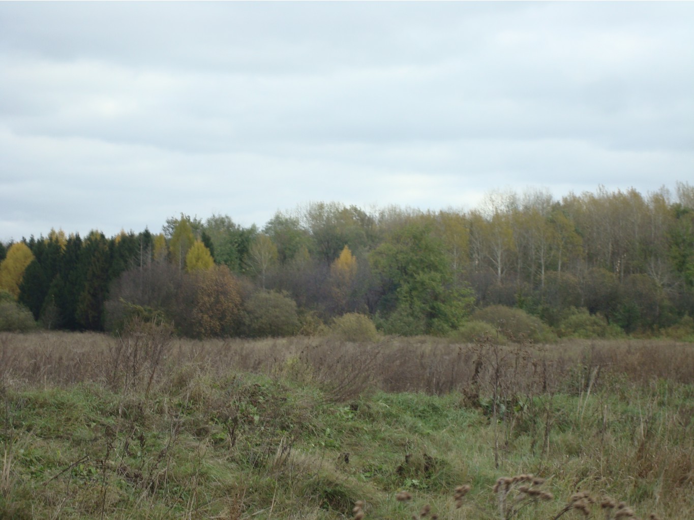 DSC00593.JPG
