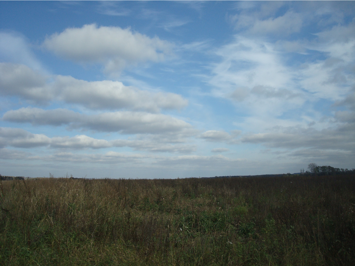 DSC00601.JPG