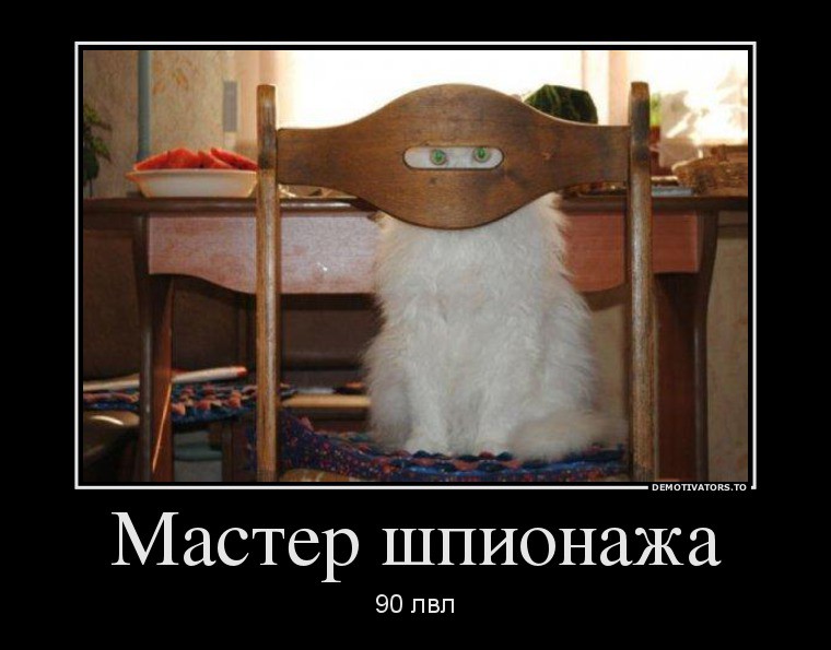 09.10.2013 8:41:52