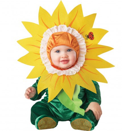      - Silly Sunflower.jpg