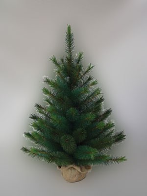 *206-207 0 0   .  =90 2405.