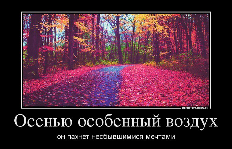 13.10.2013 11:58:49