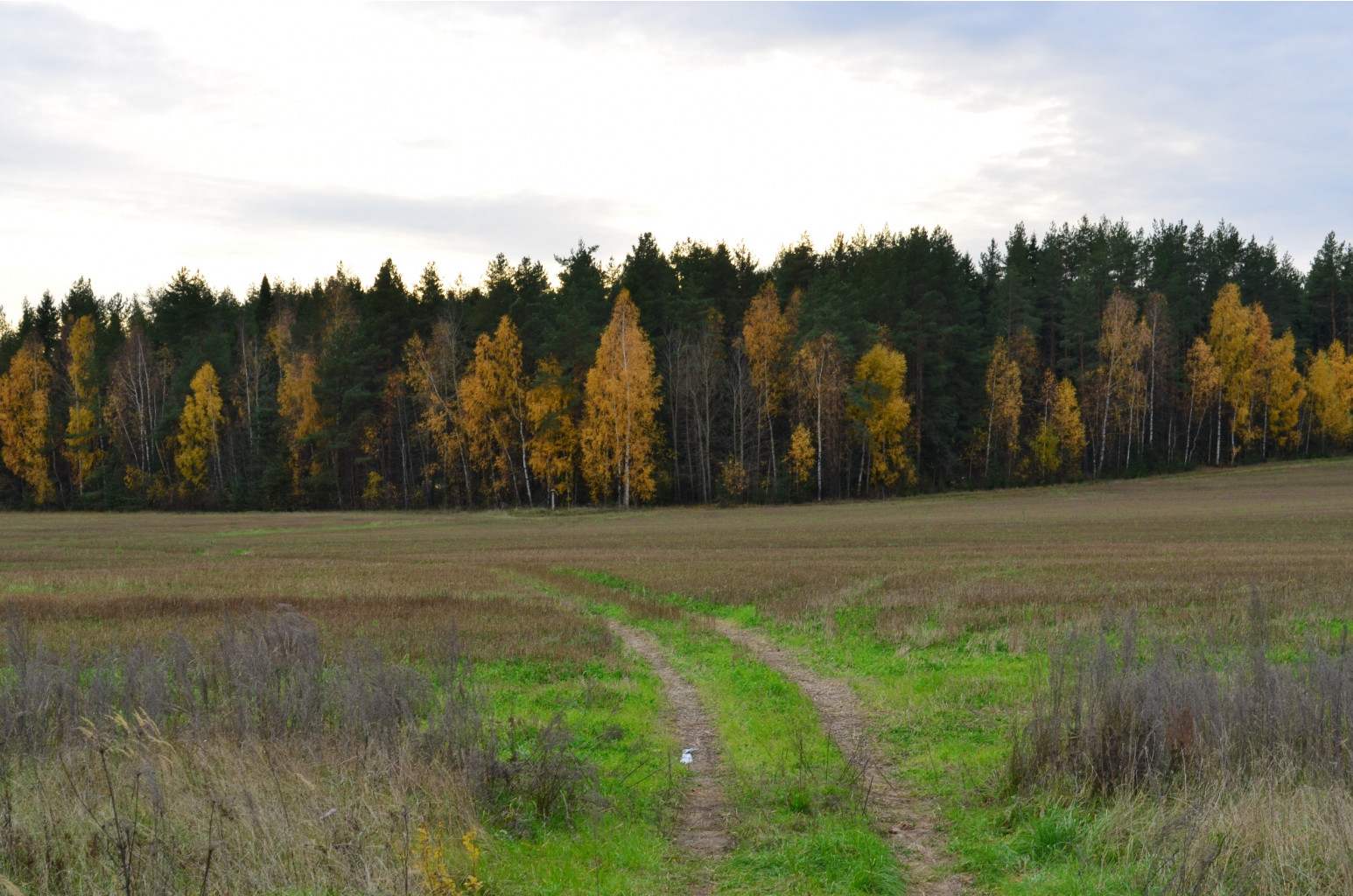 DSC_1036.JPG