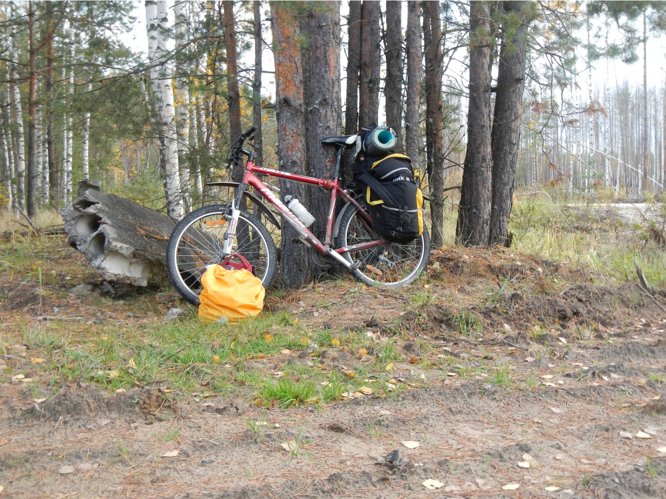 DSCN0707.JPG
