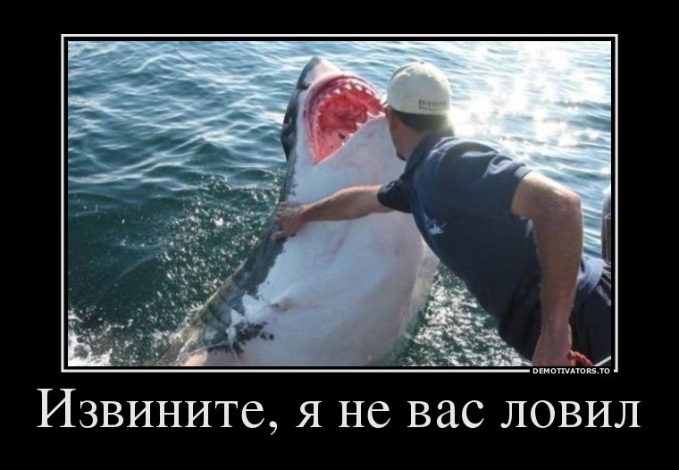 59151073_izvinite-ya-ne-vas-lovil.jpg