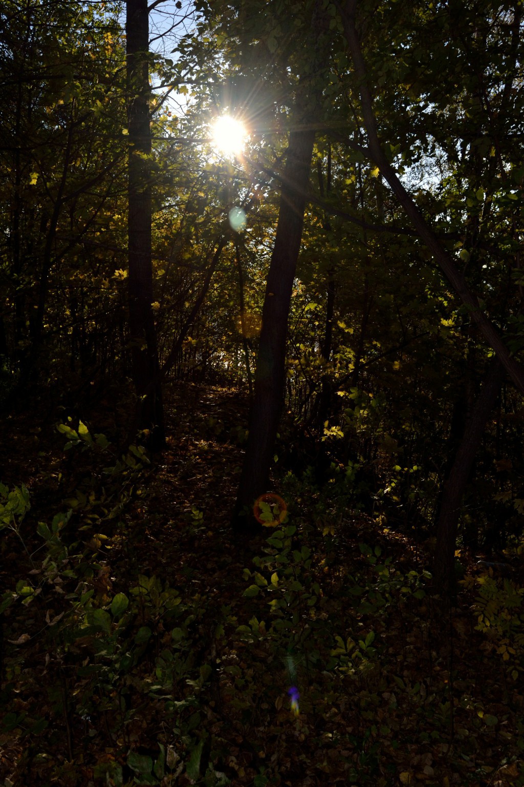 DSC_0058_01.JPG
