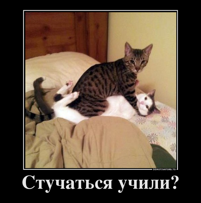 25343148_stuchatsya-uchili.png