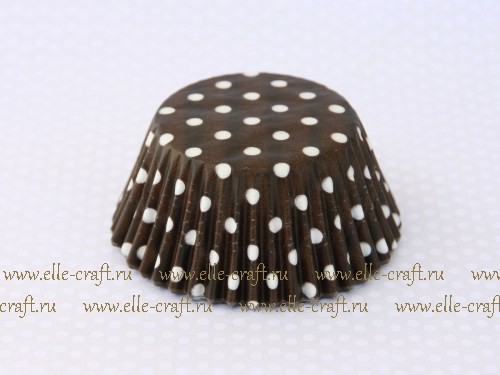   Chocolate polka dot_26.JPG