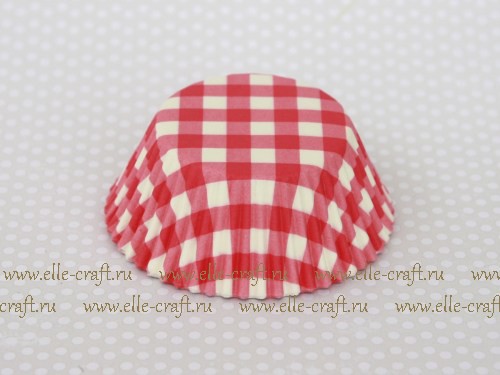   Pink Gingham_32.JPG