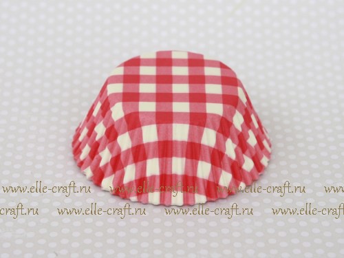   Pink Gingham_32.JPG