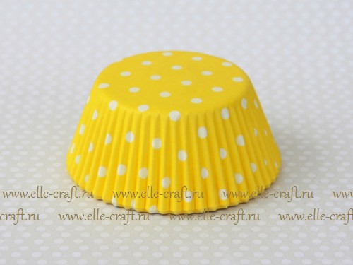   Yellow Polka Dot_32.JPG