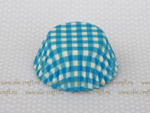      Blue Gingham_32.JPG