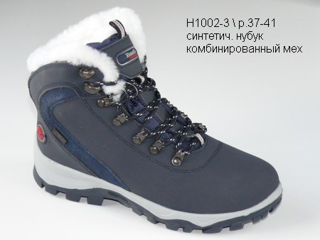 H1002-3  1200.jpg