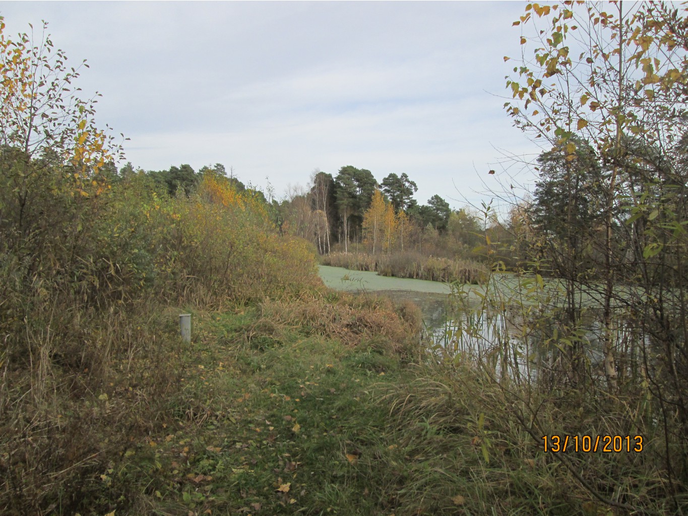 IMG_1632.JPG