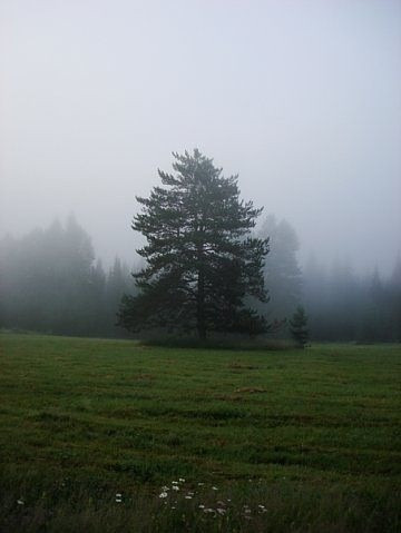image3284.jpg
