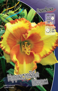 Hemerocallis_Irresistable_Charm.jpg