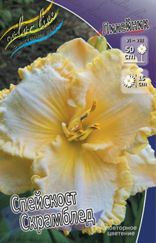 Hemerocallis_Spacecoast Scrambled.jpg