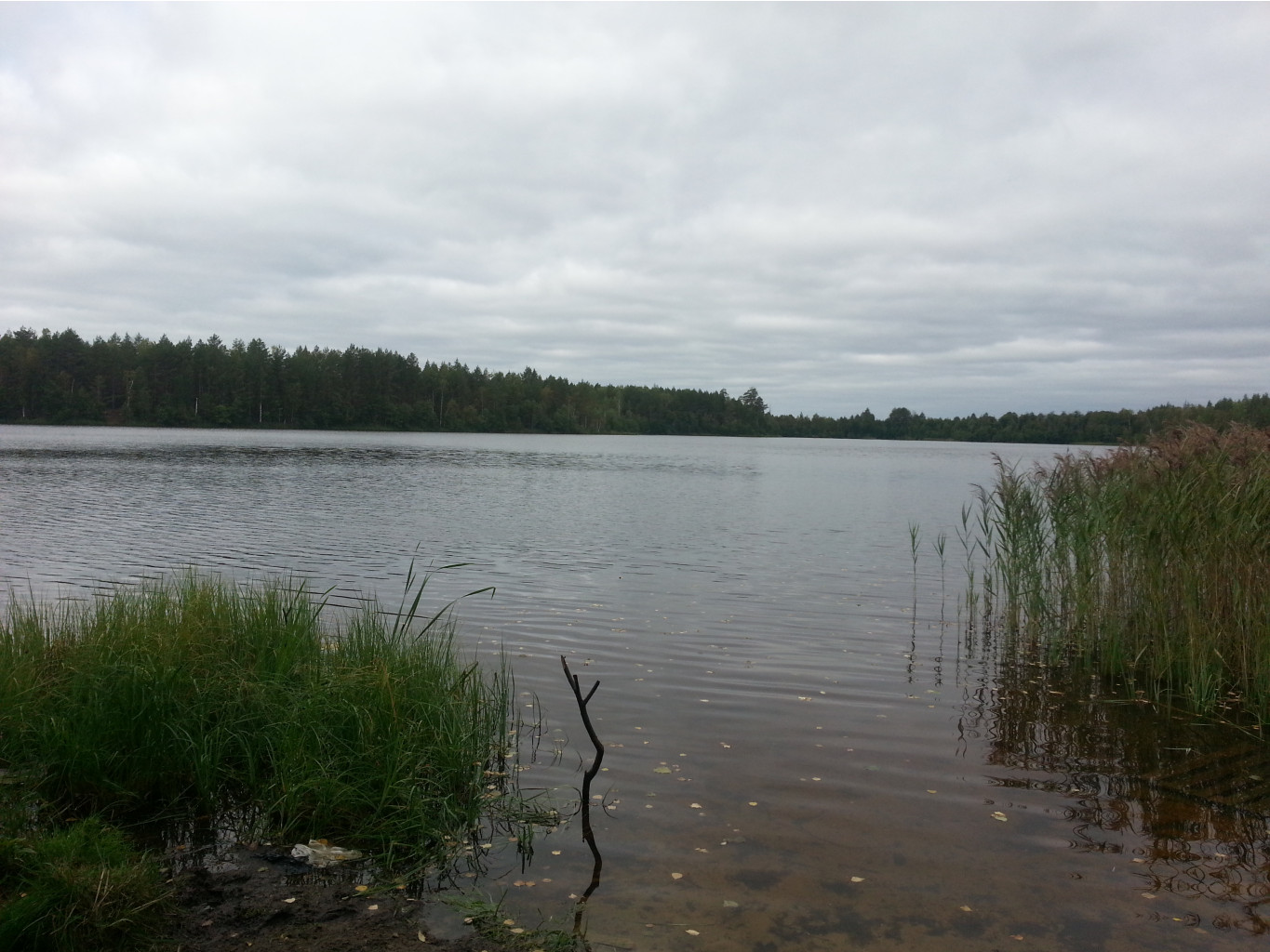 20130911_103335.jpg