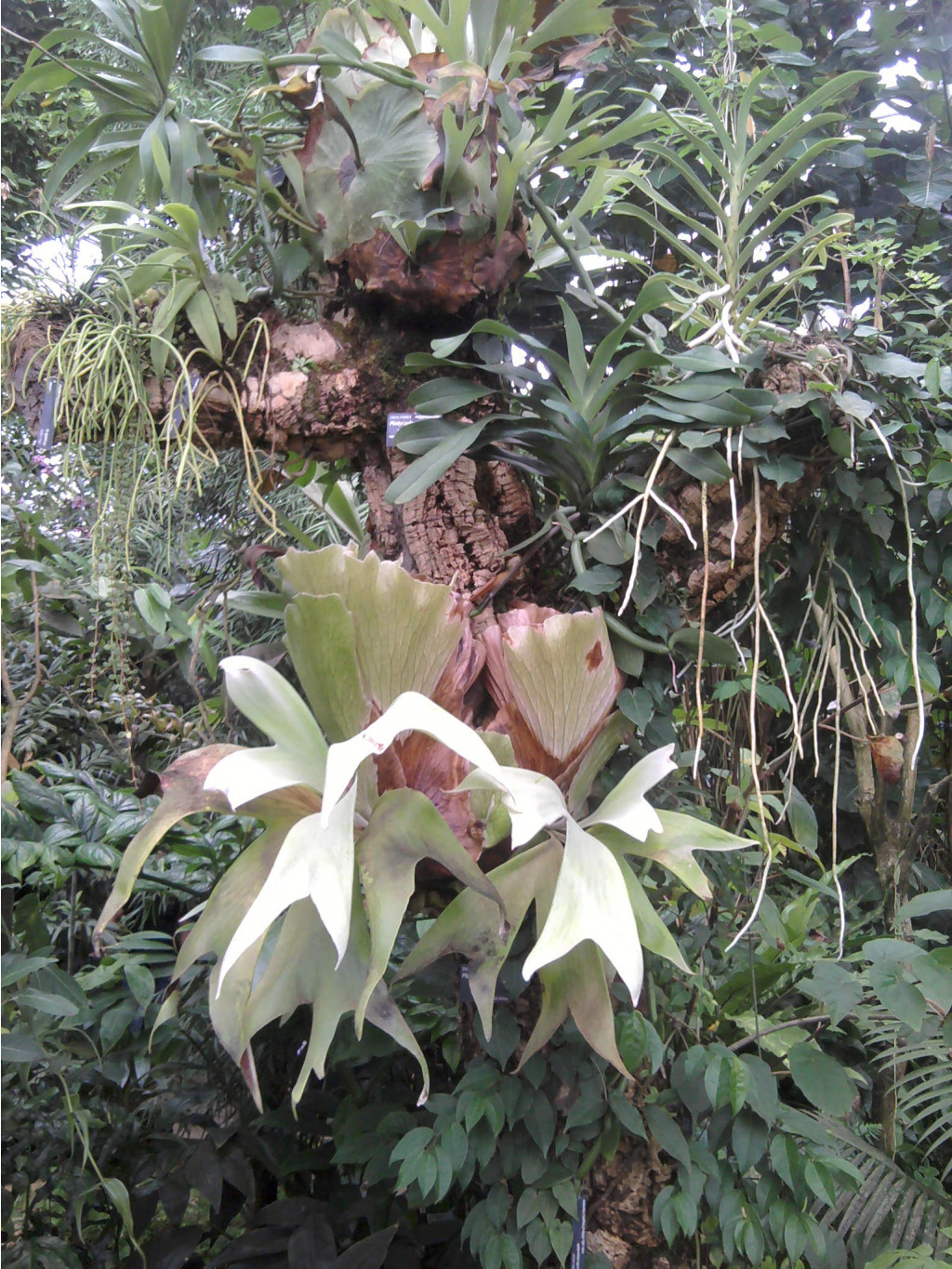 2012-08-25 13.26.15.jpg