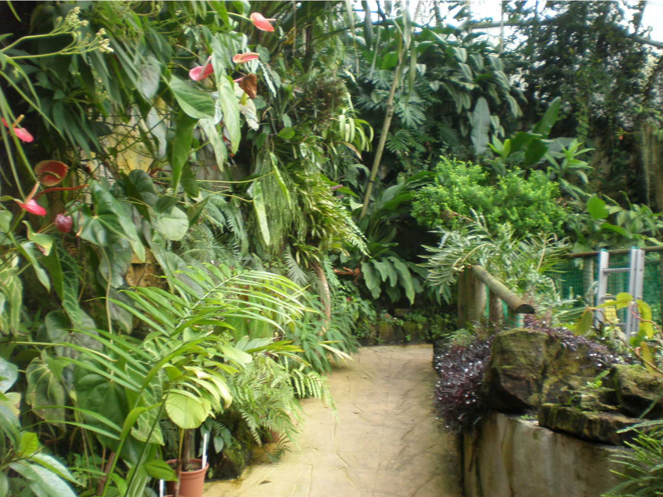 P8250349.JPG