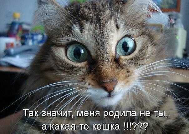 getImage (6).jpg