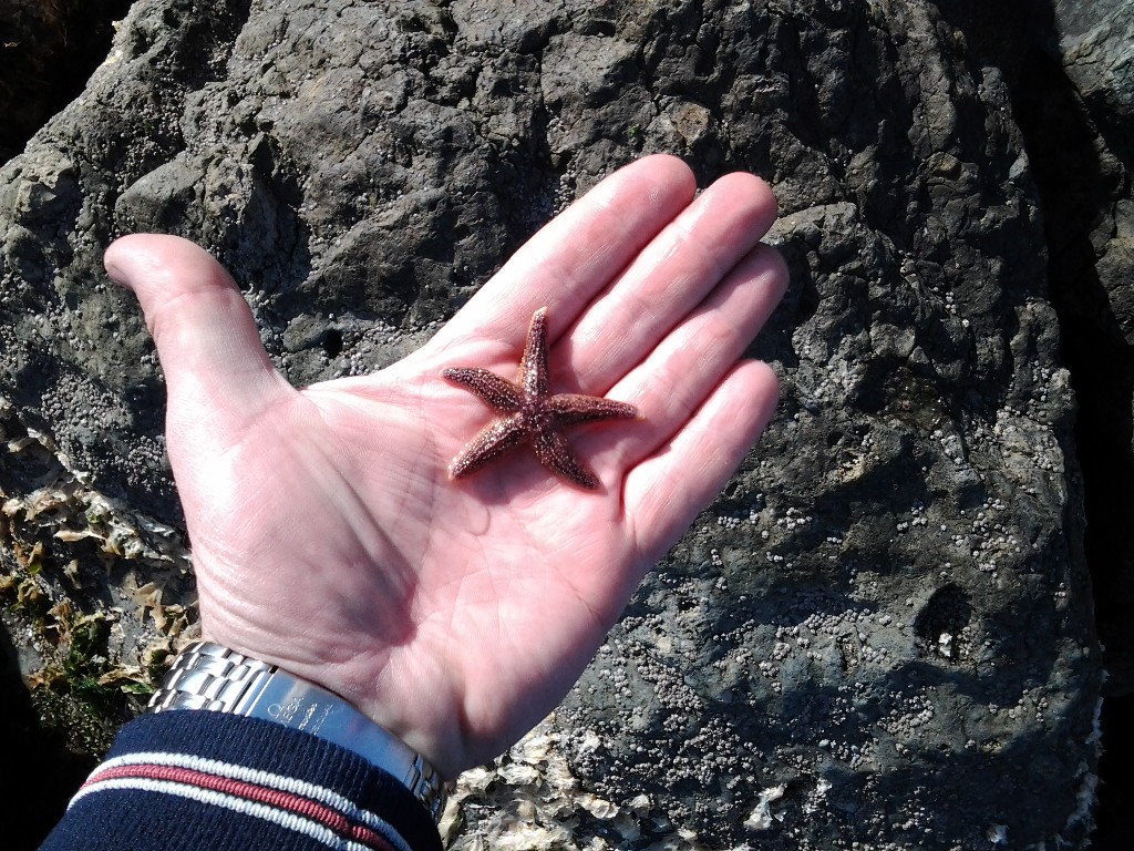 20121021_150849.jpg