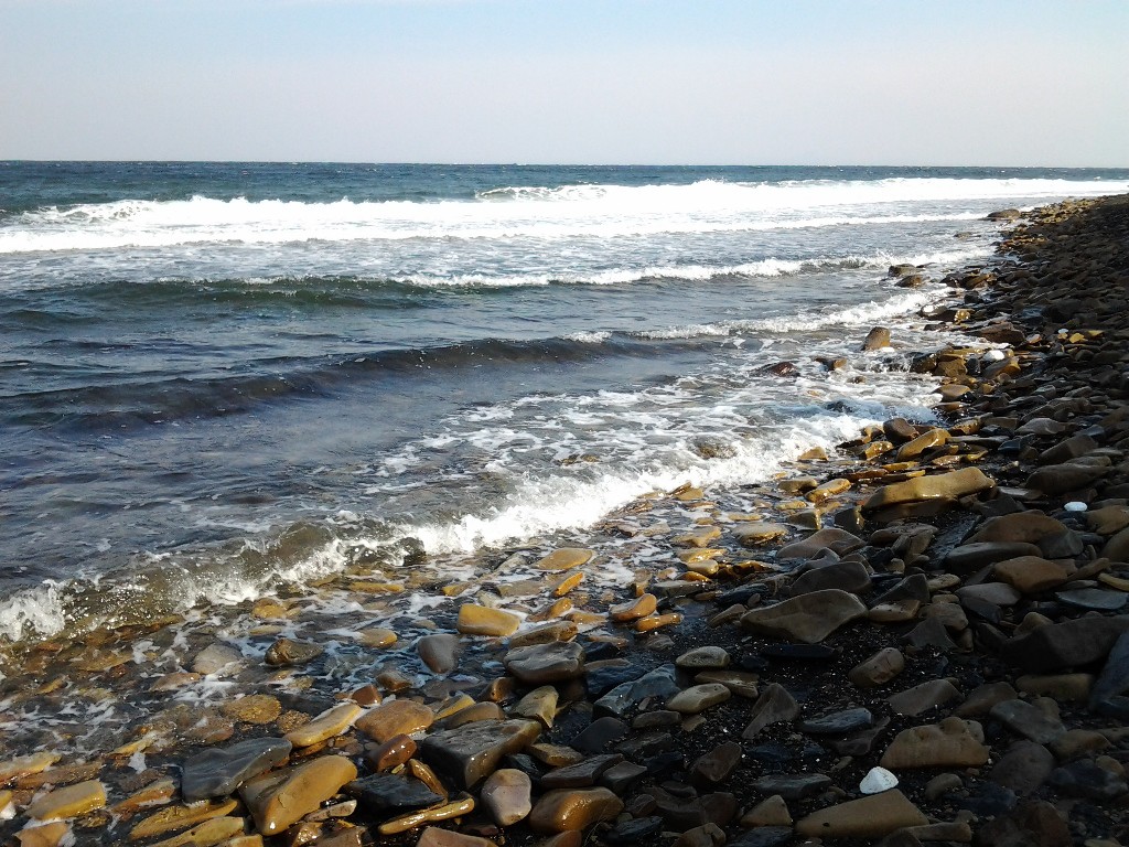 20121101_143603.jpg