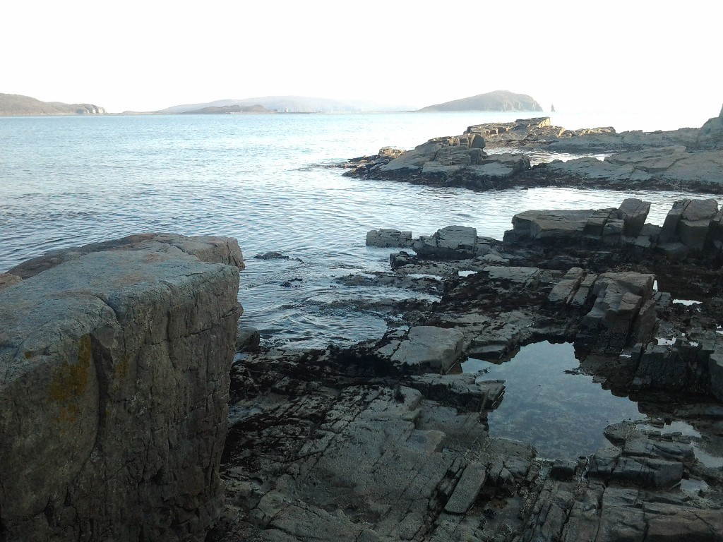 20121118_163608.jpg