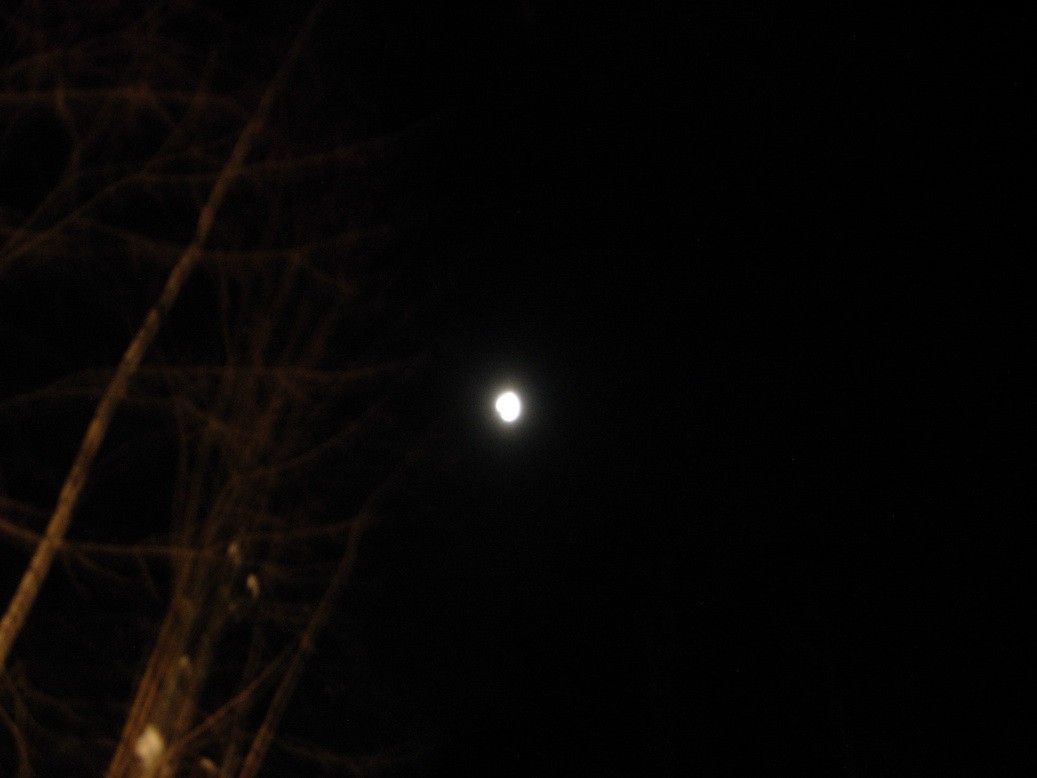 23.02.2010 11:36:30