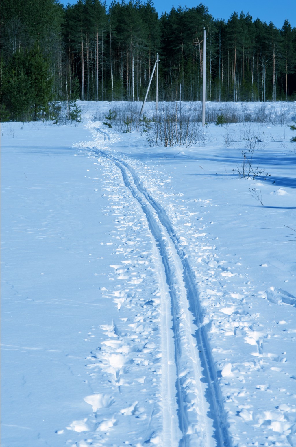 CSC_0228.JPG