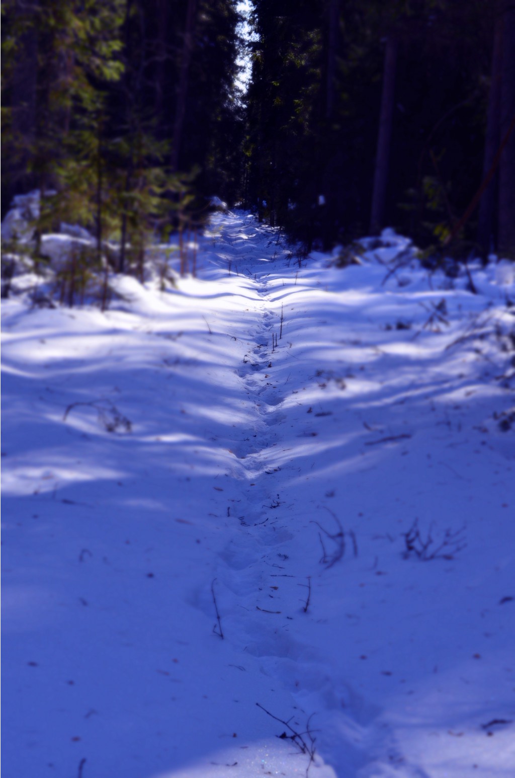CSC_0232.JPG