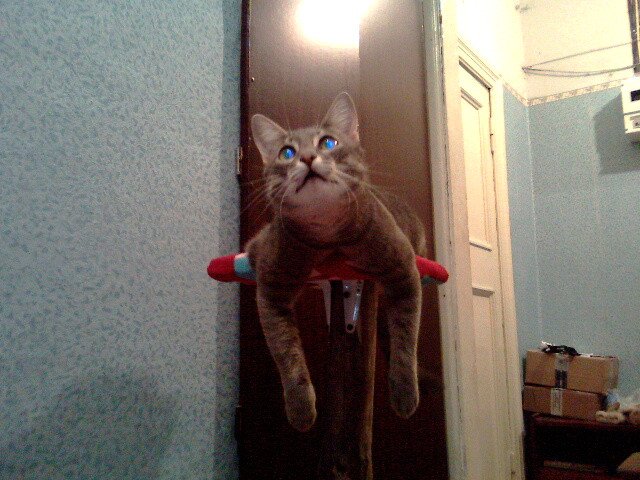 24.02.2010 15:00:12