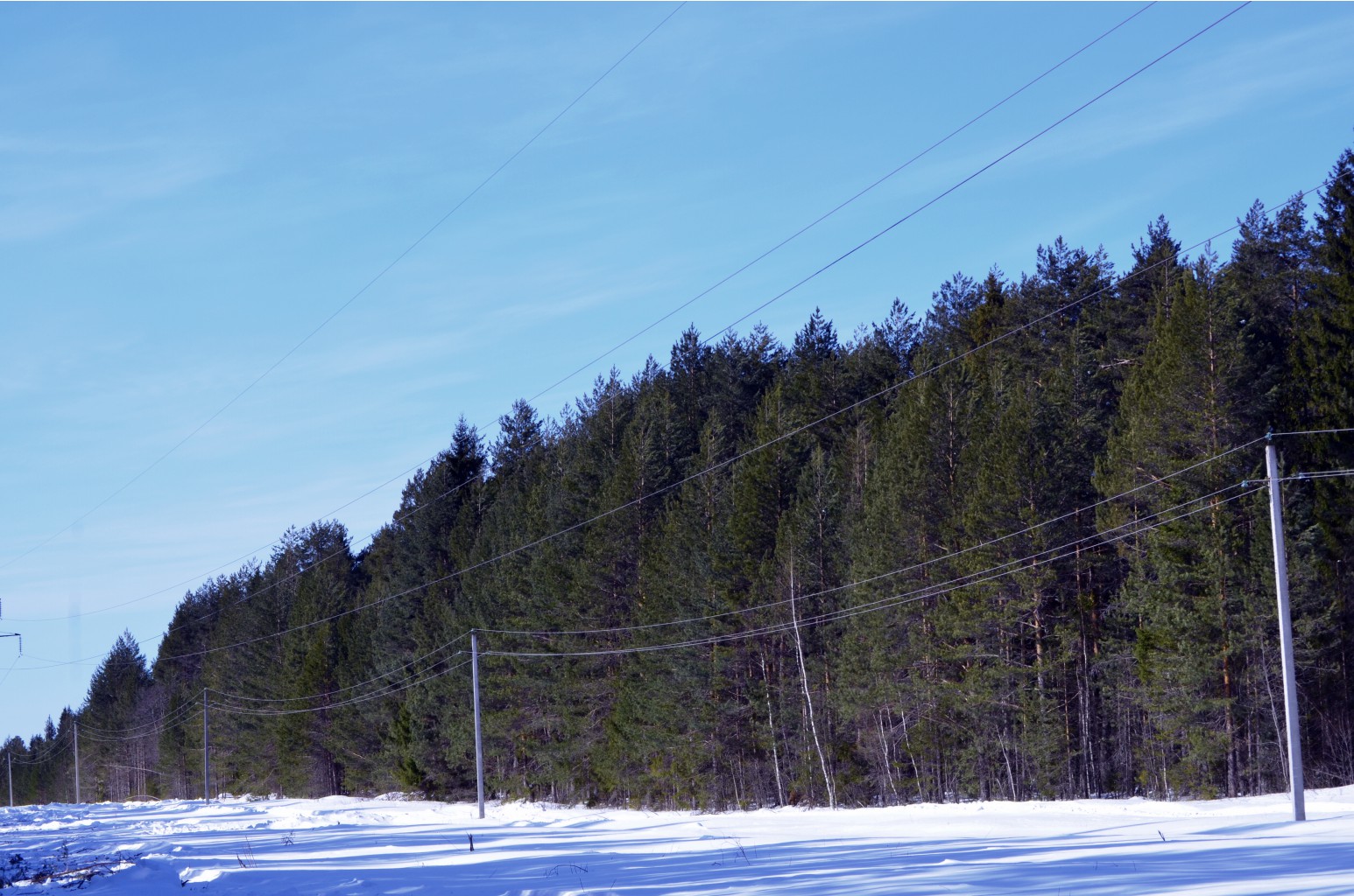 CSC_0213.JPG