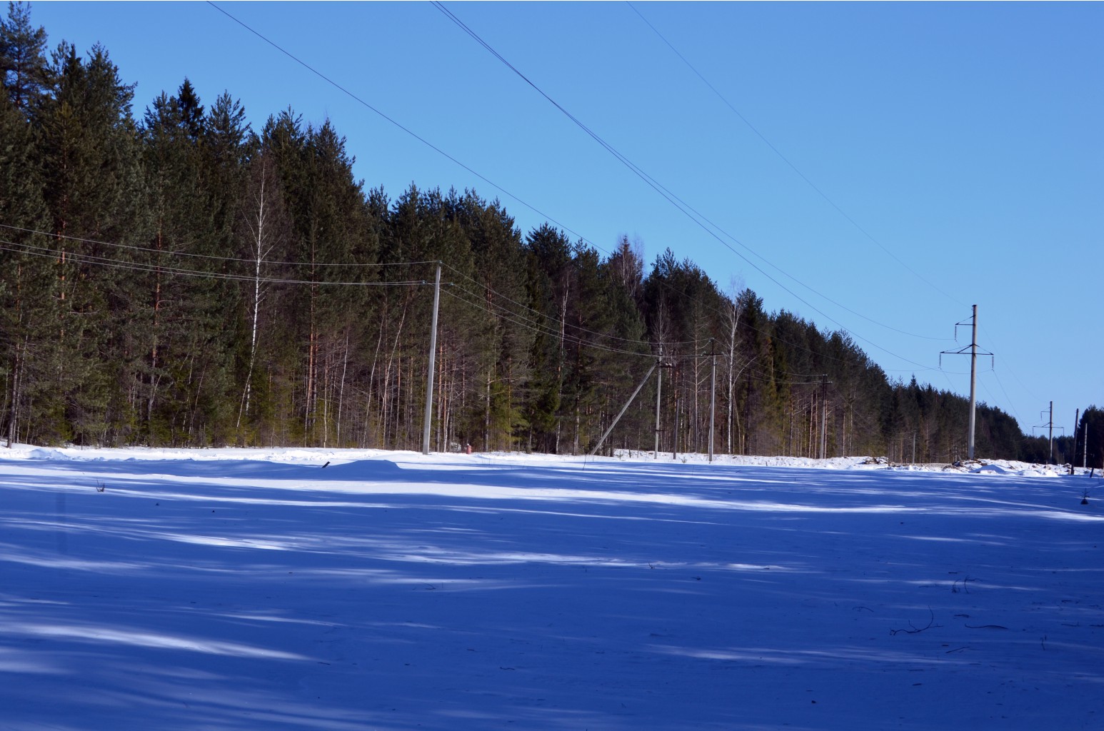 CSC_0214.JPG
