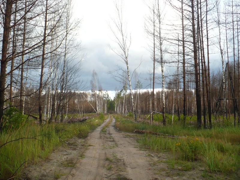 P1060609.JPG