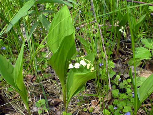 foto16052010_3.jpg