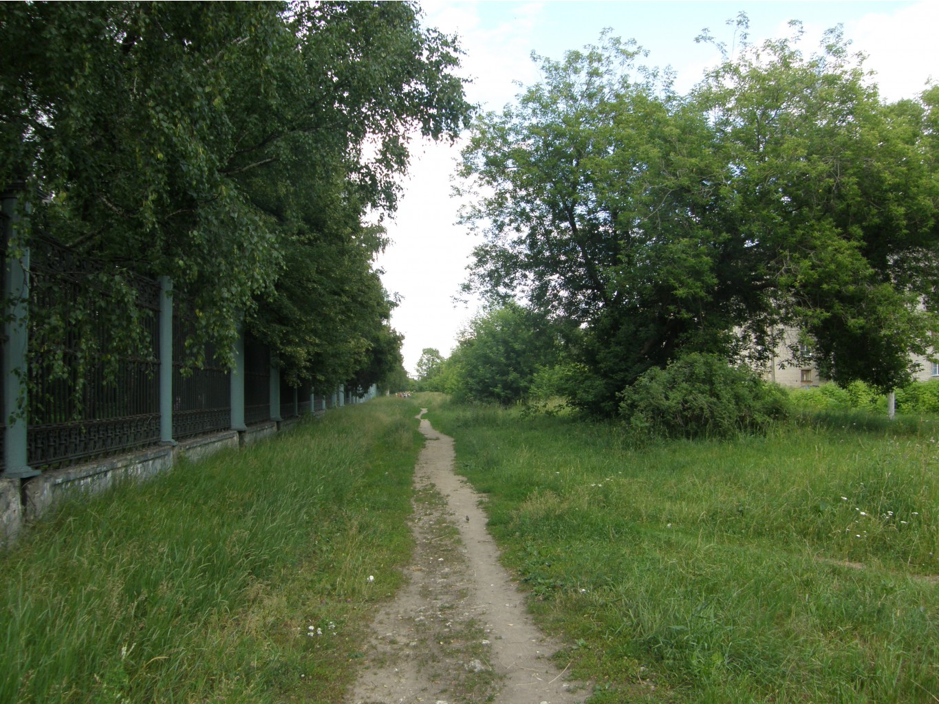 P6249272.JPG