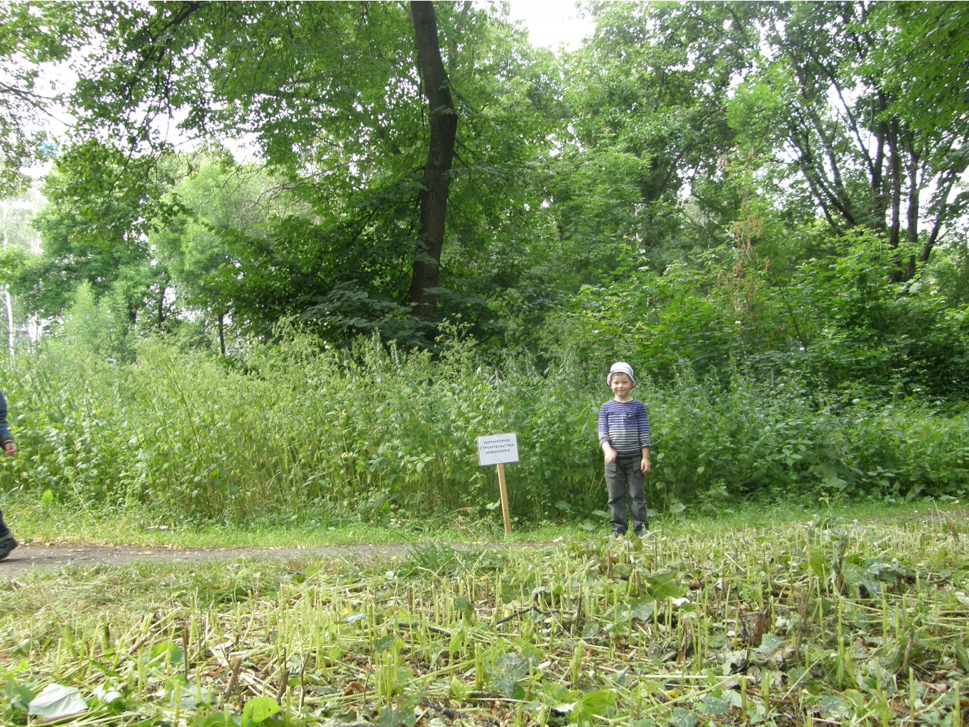 P7189374.JPG