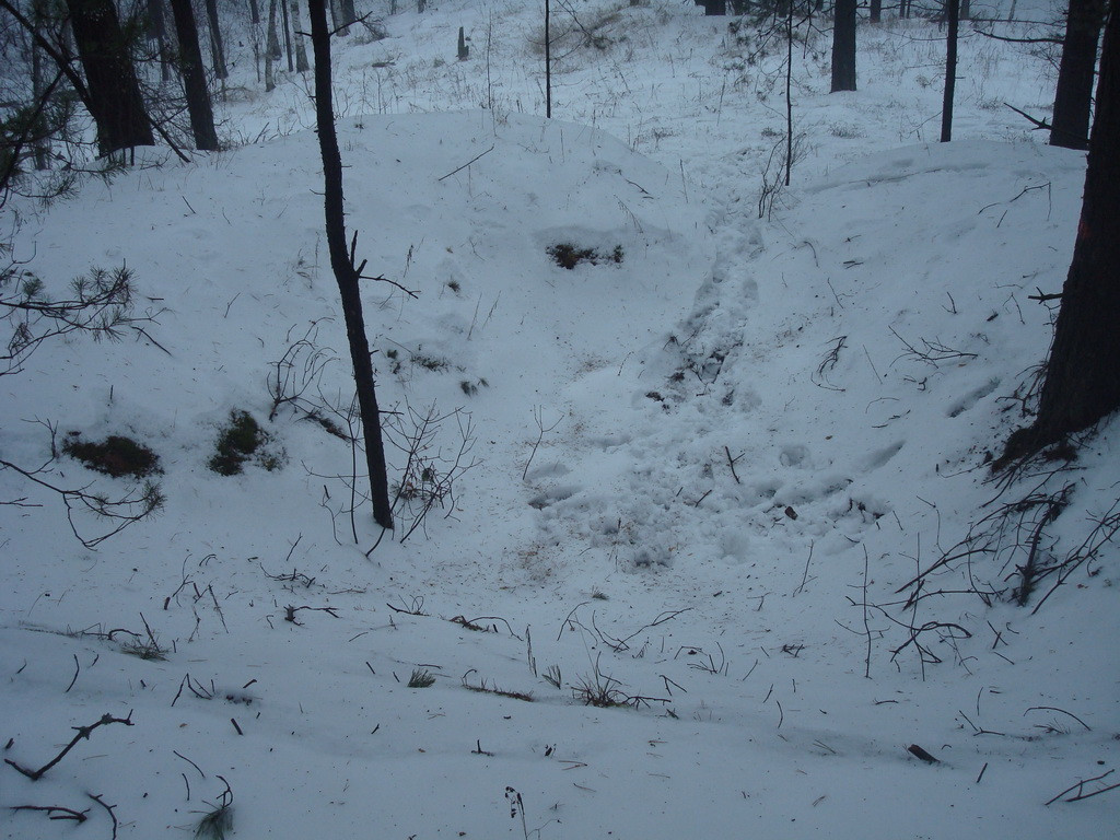 DSC09273_ .JPG