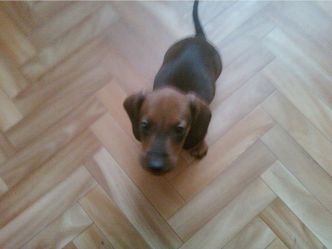 27.02.2010 22:54:39