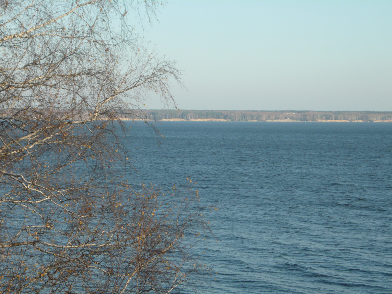 P1150862.JPG