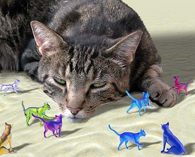 what_cats_really_see_real_cat_with_colored_graphics.jpg