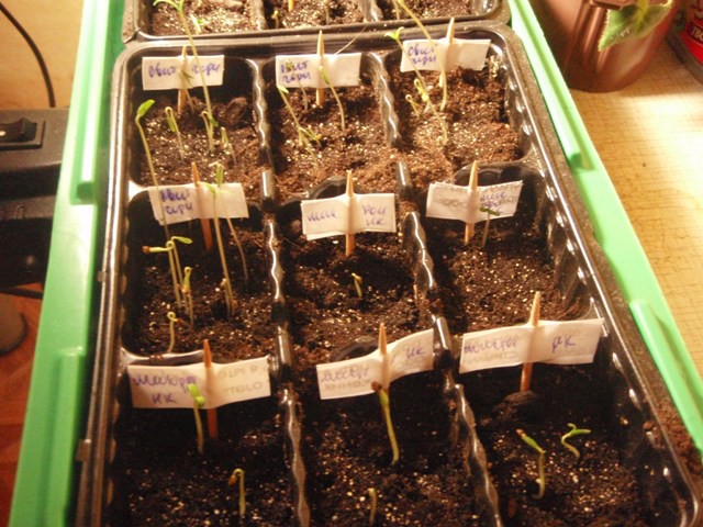 01.03.2010 20:21:34