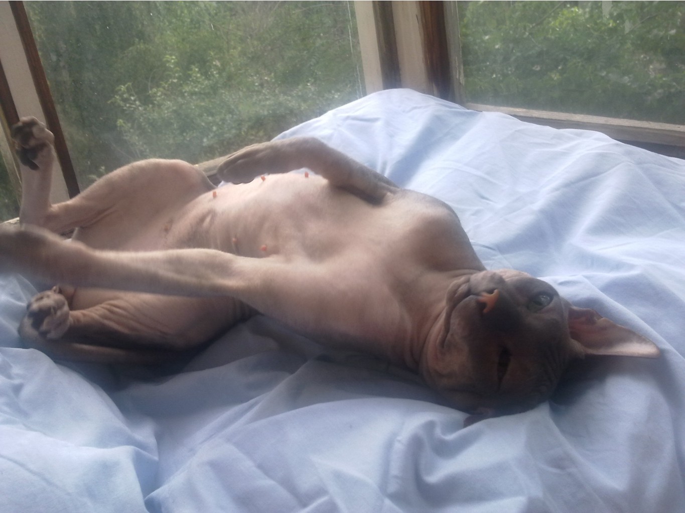 180720121593.jpg