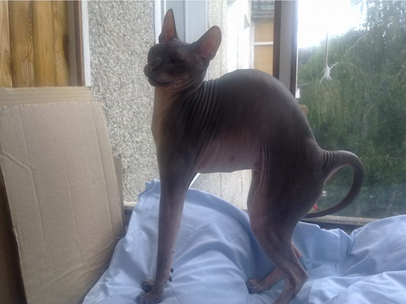 180720121591.jpg