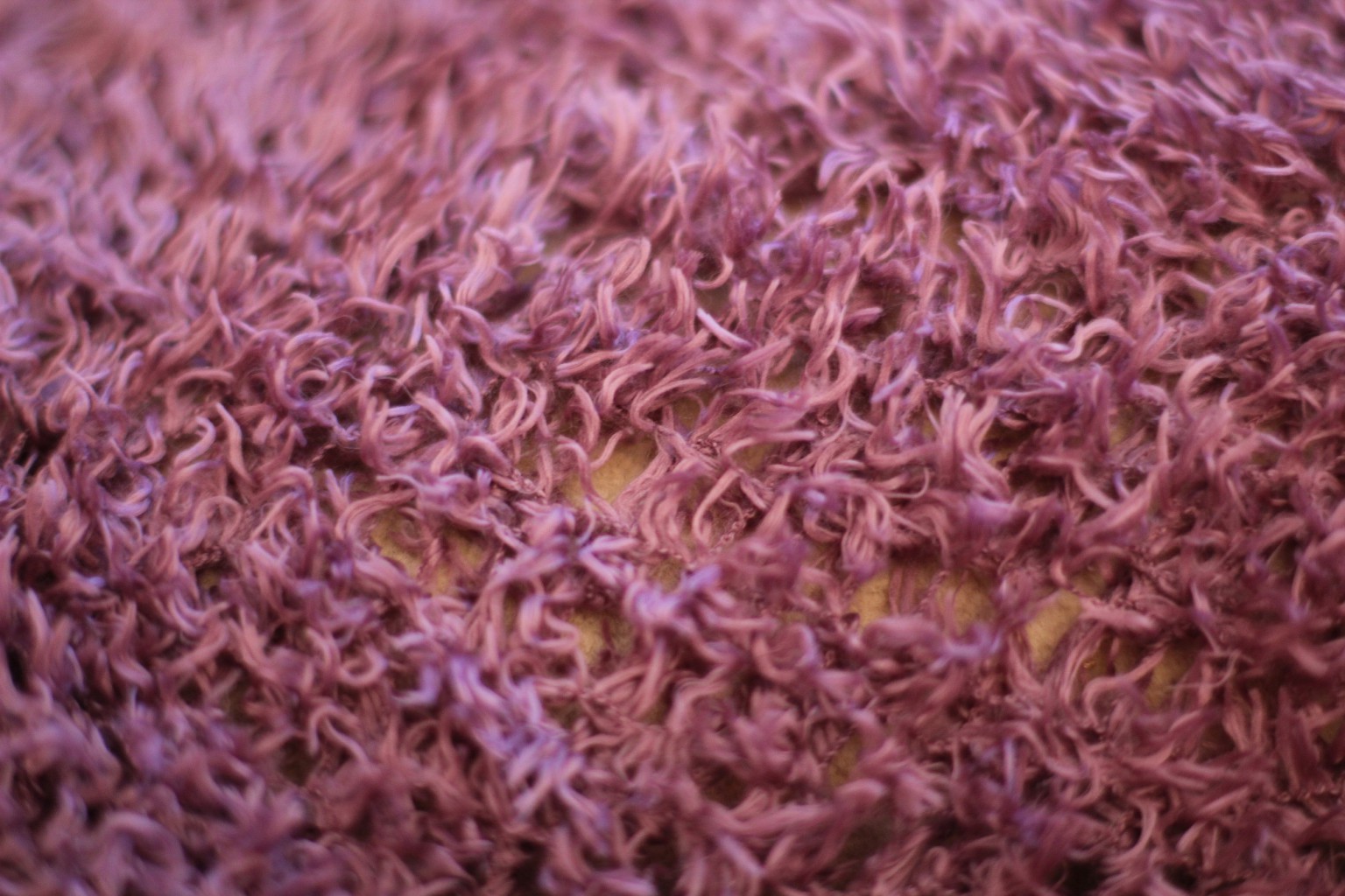 Resize of IMG_4717.JPG