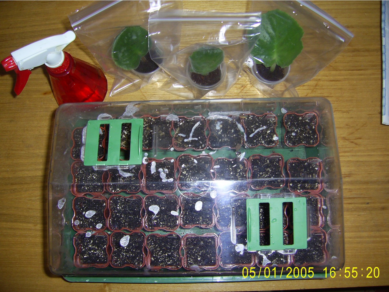 02.03.2010 18:03:35